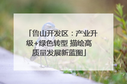 鲁山开发区：产业升级+绿色转型 描绘高质量发展新蓝图
