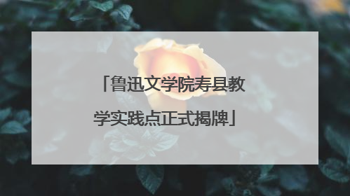鲁迅文学院寿县教学实践点正式揭牌
