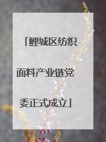 鲤城区纺织面料产业链党委正式成立