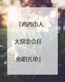 鸡西市人大常委会任免职名单