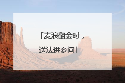 麦浪翻金时，送法进乡间
