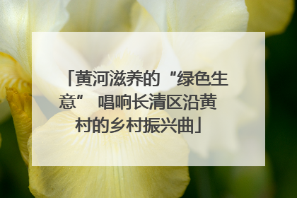 黄河滋养的“绿色生意” 唱响长清区沿黄村的乡村振兴曲