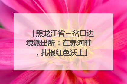 黑龙江省三岔口边境派出所：在界河畔，扎根红色沃土