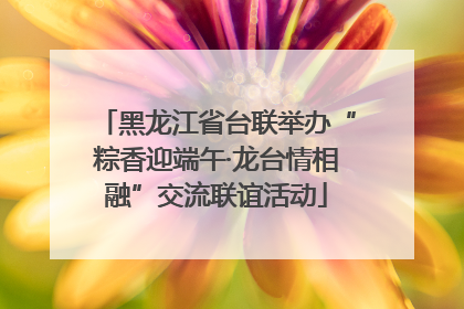 黑龙江省台联举办“粽香迎端午·龙台情相融”交流联谊活动