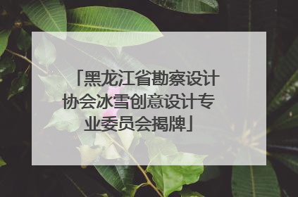 黑龙江省勘察设计协会冰雪创意设计专业委员会揭牌