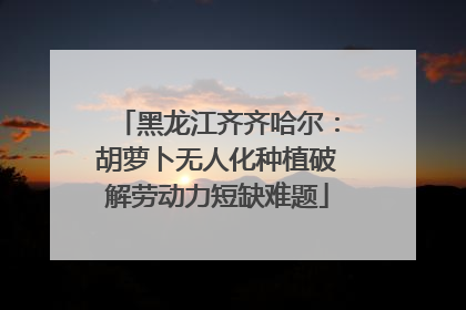黑龙江齐齐哈尔：胡萝卜无人化种植破解劳动力短缺难题
