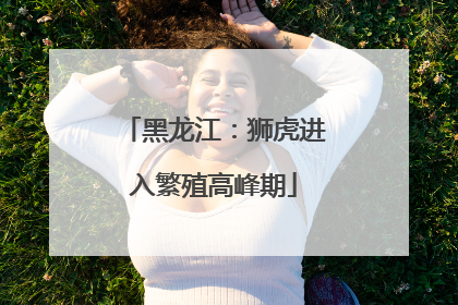黑龙江：狮虎进入繁殖高峰期