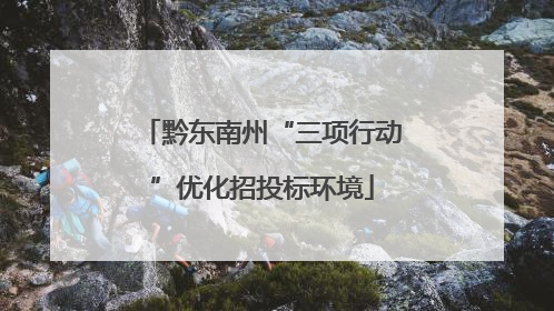 黔东南州“三项行动”优化招投标环境