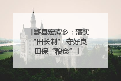 黟县宏潭乡：落实“田长制” 守好良田保“粮仓”