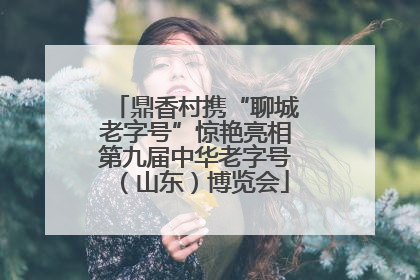 鼎香村携“聊城老字号”惊艳亮相第九届中华老字号（山东）博览会
