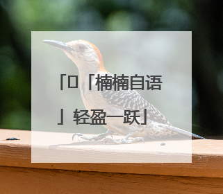 ﻿「楠楠自语」轻盈一跃
