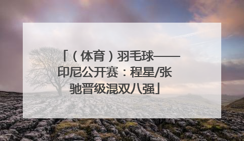 （体育）羽毛球——印尼公开赛：程星/张驰晋级混双八强