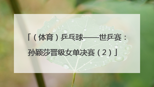 （体育）乒乓球——世乒赛：孙颖莎晋级女单决赛（2）