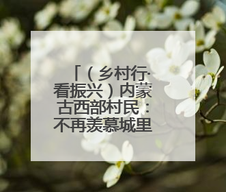 （乡村行·看振兴）内蒙古西部村民：不再羡慕城里人生活