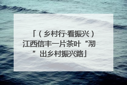 （乡村行·看振兴）江西信丰一片茶叶“沏”出乡村振兴路