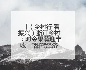 （乡村行·看振兴）浙江乡村：时令果蔬迎丰收 “甜蜜经济”促振兴
