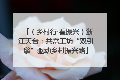 （乡村行·看振兴）浙江天台：共富工坊“双引擎”驱动乡村振兴路