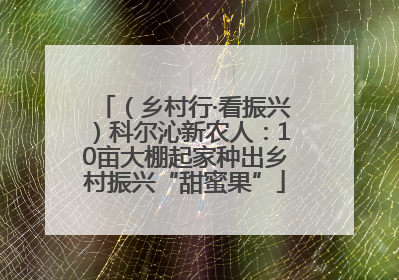 （乡村行·看振兴）科尔沁新农人：10亩大棚起家种出乡村振兴“甜蜜果”