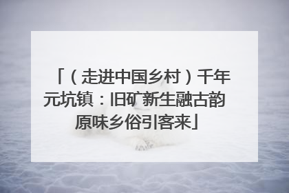 （走进中国乡村）千年元坑镇：旧矿新生融古韵 原味乡俗引客来