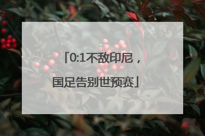 0:1不敌印尼，国足告别世预赛