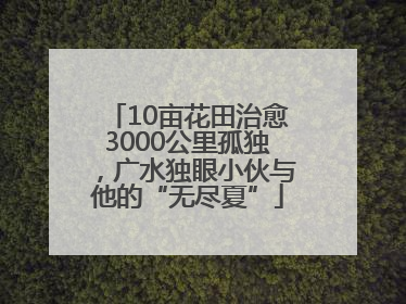 10亩花田治愈3000公里孤独，广水独眼小伙与他的“无尽夏”
