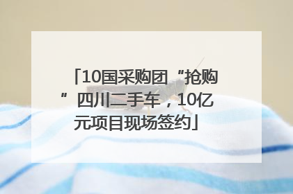 10国采购团“抢购”四川二手车，10亿元项目现场签约