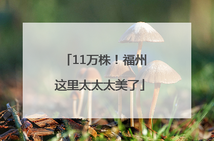 11万株！福州这里太太太美了
