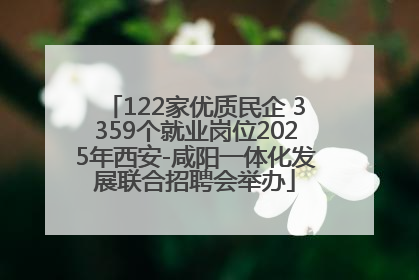 122家优质民企 3359个就业岗位2025年西安-咸阳一体化发展联合招聘会举办
