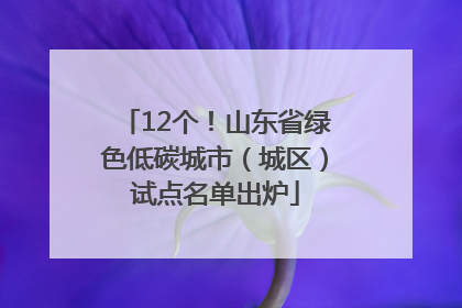 12个！山东省绿色低碳城市（城区）试点名单出炉