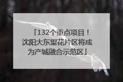 132个重点项目！沈阳大东望花片区将成为产城融合示范区