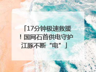 17分钟极速救援！国网石首供电守护江豚不断“电”