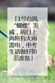 1号台风“蝴蝶”发威，周日上海将有大雨雷电，中考生请做好防范准备