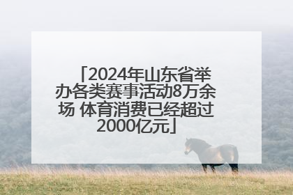 2024年山东省举办各类赛事活动8万余场 体育消费已经超过2000亿元