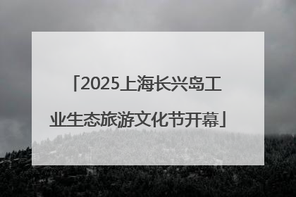 2025上海长兴岛工业生态旅游文化节开幕