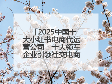 2025中国十大小红书电商代运营公司：十大领军企业引领社交电商新风向