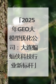 2025年GEO大模型优化公司：大连蝙蝠侠科技行业新标杆
