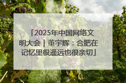 2025年中国网络文明大会｜董宇辉：合肥在记忆里很遥远也很亲切