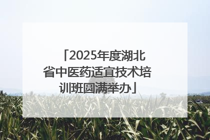 2025年度湖北省中医药适宜技术培训班圆满举办