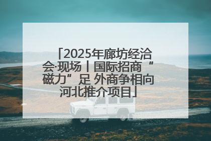 2025年廊坊经洽会·现场丨国际招商“磁力”足 外商争相向河北推介项目