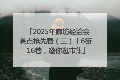 2025年廊坊经洽会亮点抢先看（三）丨6街16巷，邀你逛市集