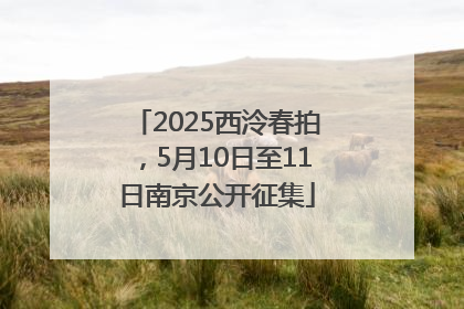 2025西泠春拍，5月10日至11日南京公开征集