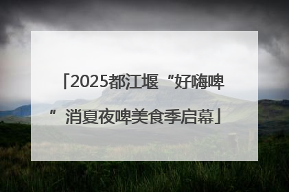 2025都江堰“好嗨啤”消夏夜啤美食季启幕