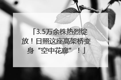 3.5万余株热烈绽放！日照这座高架桥变身“空中花廊”！