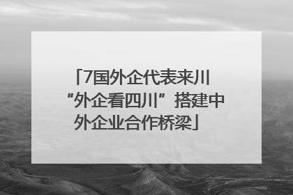 7国外企代表来川 “外企看四川”搭建中外企业合作桥梁