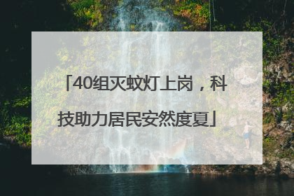 40组灭蚊灯上岗，科技助力居民安然度夏