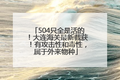 504只全是活的！大连海关最新截获！有攻击性和毒性，属于外来物种