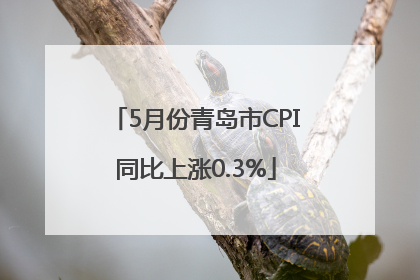 5月份青岛市CPI同比上涨0.3%