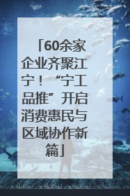 60余家企业齐聚江宁！“宁工品推”开启消费惠民与区域协作新篇