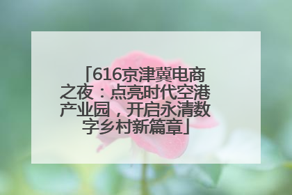 616京津冀电商之夜：点亮时代空港产业园，开启永清数字乡村新篇章