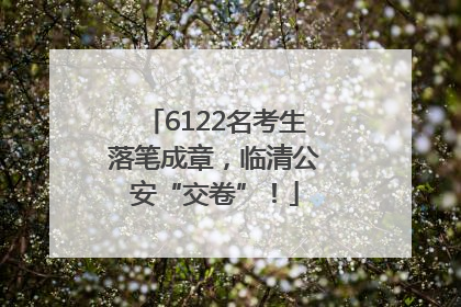 6122名考生落笔成章，临清公安“交卷”！